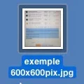 exemple 120x120pix.webp