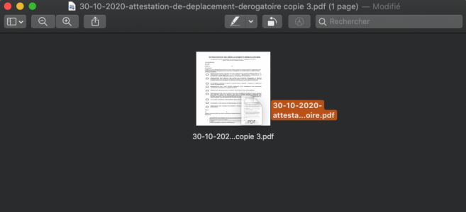 Capture d’écran 2021-01-10 à 00.12.51.png