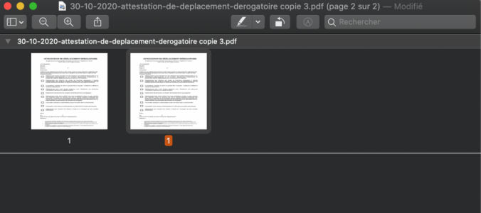 Capture d’écran 2021-01-10 à 00.13.06.png