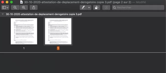 Capture d’écran 2021-01-10 à 00.13.06.webp