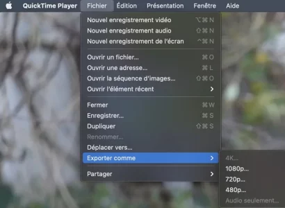 Capture d’écran 2021-01-12 à 11.29.25.webp