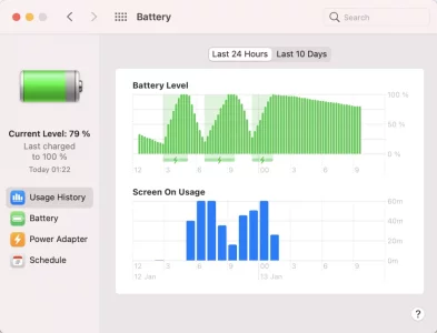 Screenshot 2021-01-13 at 09.37.31.webp