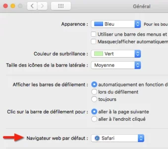 Capture d’écran 2021-01-18 à 13.24.19.webp