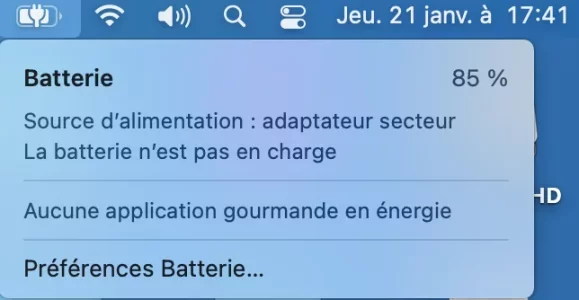 Capture d’écran 2021-01-21 à 17.41.30.png