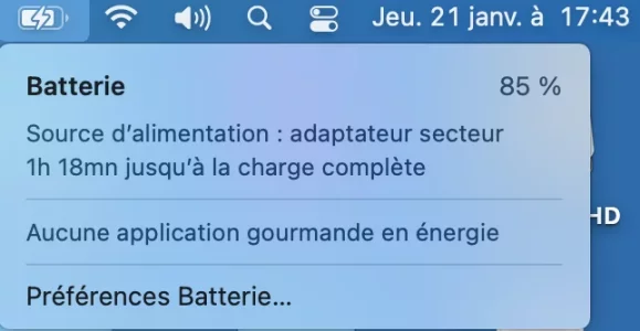 Capture d’écran 2021-01-21 à 17.43.11.png