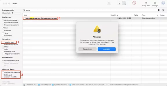 Capture d’écran, le 2021-01-22 à 14.49.27.png