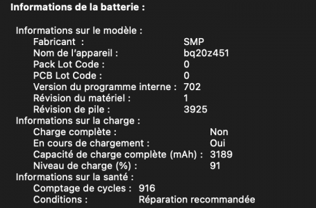 Capture d’écran 2021-01-23 à 23.03.23.png