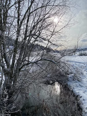 IMG_1374.webp IMG_1374.webp