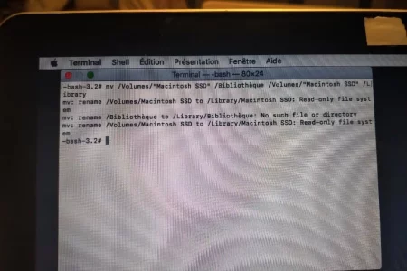 library.webp