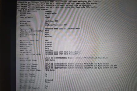 disk.webp