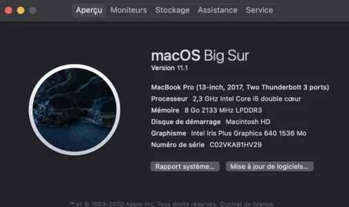Capture d’écran 2021-01-25 à 19.30.10.webp