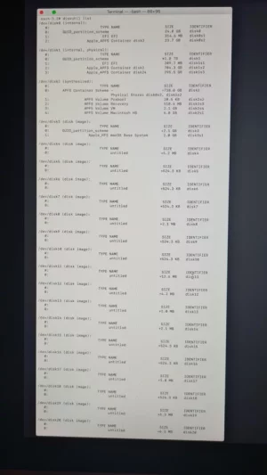 diskutil list 1jpg.webp