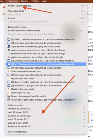 Capture d’écran 2021-01-30 à 14.42.31.png