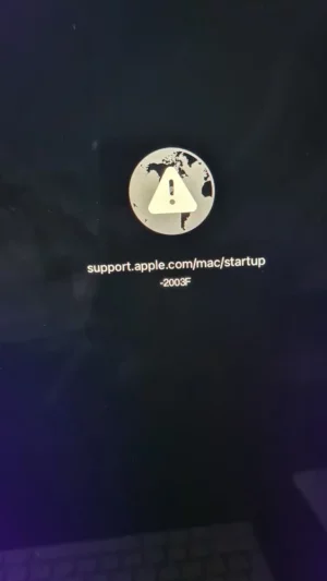 mac 2 bug.webp