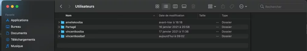 Capture d’écran 2021-01-31 à 11.15.08.png Capture d’écran 2021-01-31 à 11.15.08.png