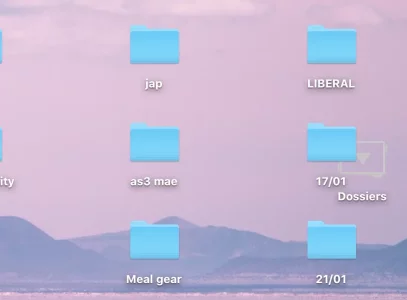 Capture d’écran 2021-01-31 à 12.48.17.png
