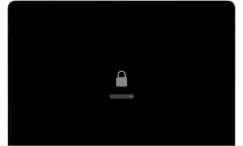macos-big-sur-startup-screen-lock-icon-firmware-password.jpg