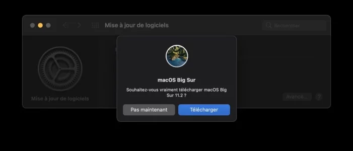Capture-000.webp Capture-000.webp