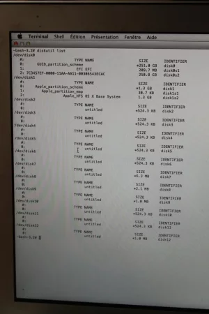 diskutil-list.JPG