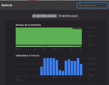 Capture d’écran 2021-02-03 à 21.44.33.png