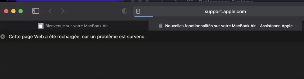 Capture d’écran, le 2021-02-08 à 23.02.57.webp