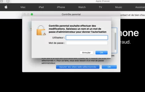 Capture d’écran 2021-02-15 à 21.48.44.png