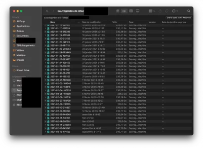 Capture d’écran 2021-02-15 à 22.29.29.png