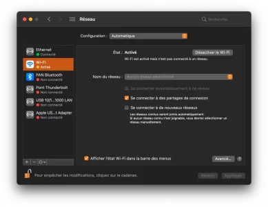 Capture d’écran 2021-02-20 à 16.52.54.png