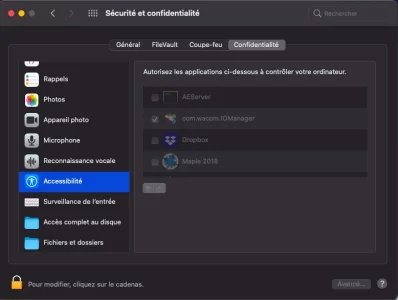 Capture d’écran 2021-02-28 à 12.01.28.webp