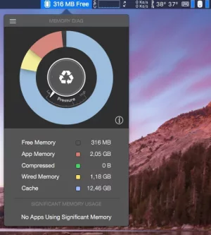 ram screen.webp