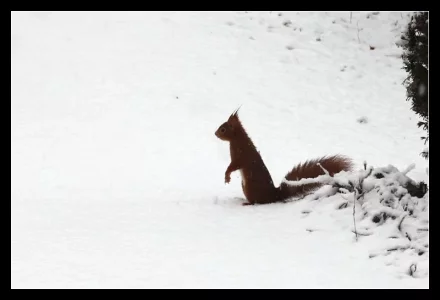 7Y7A1189.webp 7Y7A1189.webp