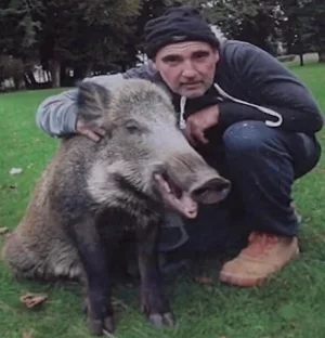 chasse-braconnage-parc-prive-mort-sanglier-domestique-une.webp chasse-braconnage-parc-prive-mort-sanglier-domestique-une.webp