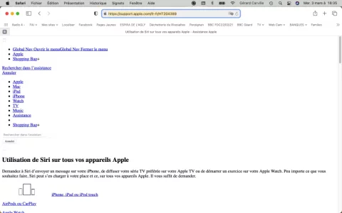 SAFARI.webp
