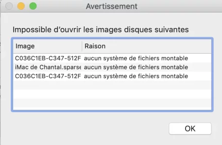 Capture d’écran 2021-03-04 à 08.22.26.png