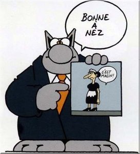 Le chat_bonne a nez.jpg