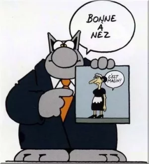 Le chat_bonne a nez.webp