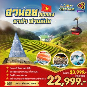 ปีใหม่ลดราคา-22999-800x800.jpg