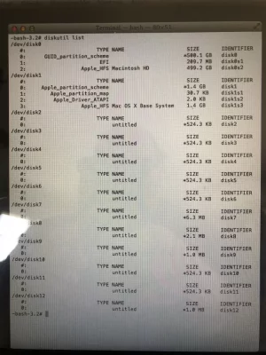 diskutil list.webp