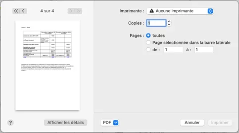 Capture d’écran.webp