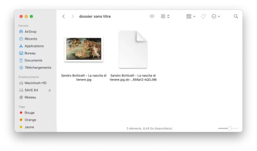 Capture d’écran 2021-03-20 à 21.35.24.png