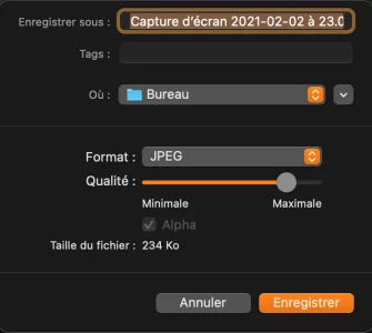 Capture d’écran 2021-03-21 à 18.04.47.png Capture d’écran 2021-03-21 à 18.04.47.png