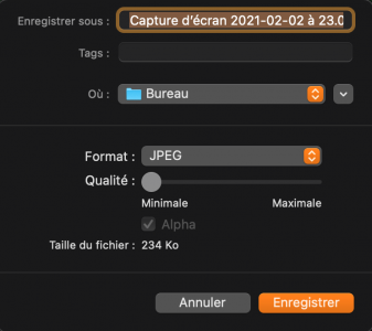 Capture d’écran 2021-03-21 à 18.04.34.png