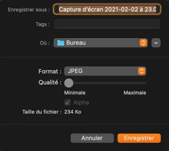 Capture d’écran 2021-03-21 à 18.04.34.png Capture d’écran 2021-03-21 à 18.04.34.png