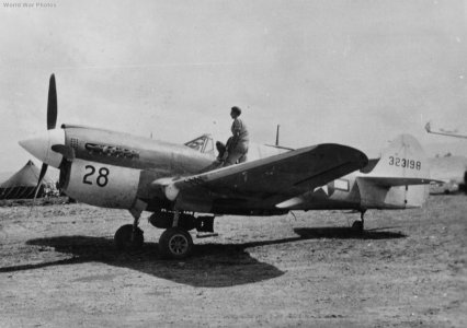 Copie de P-40N_43-23198_of_the_82nd_TRS_71st_TRG.jpg