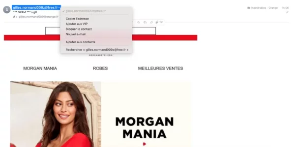 Capture d’écran 2021-03-23 à 17.19.12.webp