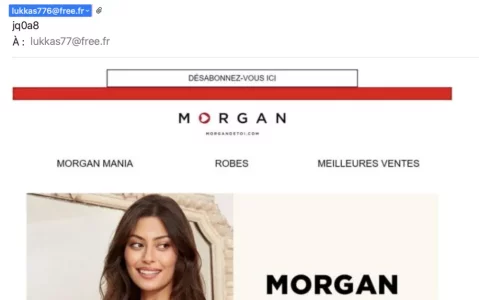 screencap 2021-03-24 à 08.49.52.webp