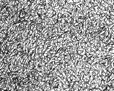 capture.webp