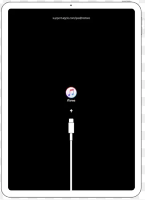 48B700F9-1BB6-48BA-AC3F-BAD7132257D0.webp