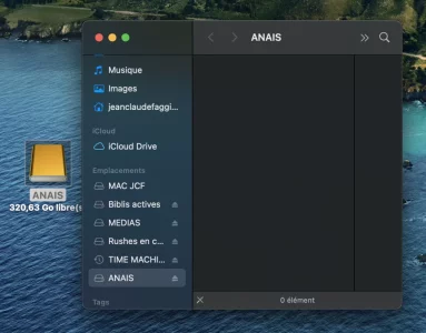 ANAIS 3.webp ANAIS 3.webp