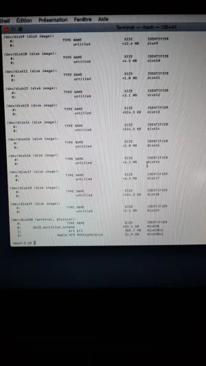diskutil0704b.webp
